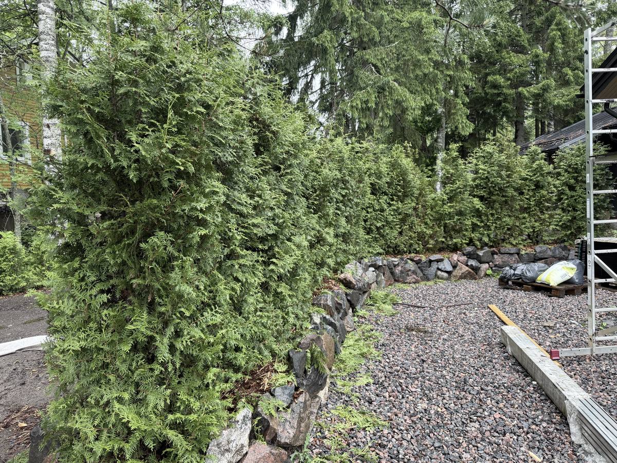Viheralueen, pihan ja asfaltin liittymä, kuva 1