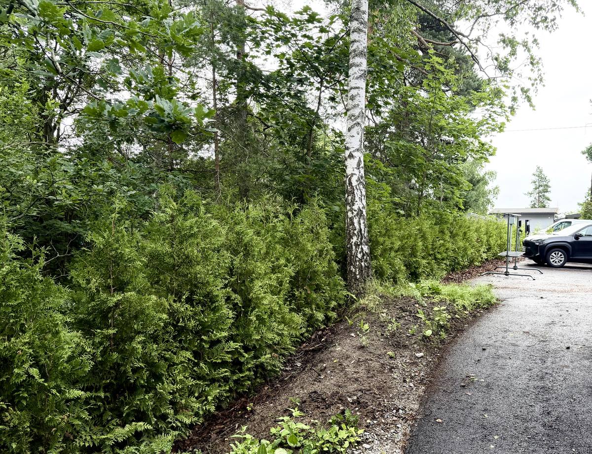 Viheralueen, pihan ja asfaltin liittymä, kuva 3